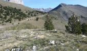 Tocht Stappen La Roche-des-Arnauds - Tête de la Clappe.04 05 16 - Photo 6