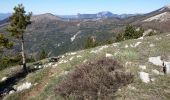 Randonnée Marche La Roche-des-Arnauds - Tête de la Clappe.04 05 16 - Photo 4