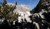 Trail Walking La Roche-des-Arnauds - Tête de la Clappe.04 05 16 - Photo 2