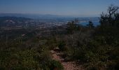 Trail Running Théoule-sur-Mer - Les grues - Photo 2