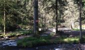 Tocht Andere activiteiten Gérardmer - vologne Rocher des bruyères  - Photo 8