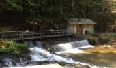 Randonnée Autre activité Gérardmer - vologne Rocher des bruyères  - Photo 5