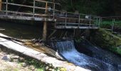 Randonnée Autre activité Gérardmer - vologne Rocher des bruyères  - Photo 4