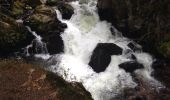 Excursión Otra actividad Gérardmer - vologne Rocher des bruyères  - Photo 1