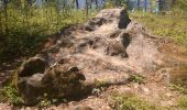 Trail Walking Burtigny - sentier des pierres (région de Rolle) 04.16 - Photo 10
