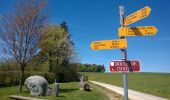Randonnée Marche Burtigny - sentier des pierres (région de Rolle) 04.16 - Photo 6