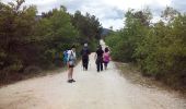 Trail Walking Fuilla - cretes fuilla - Photo 3