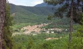 Trail Walking Fuilla - cretes fuilla - Photo 2