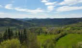 Trail Walking Brives-Charensac - Voie verte Brives charensac - Solignac sur loire - Photo 6