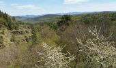 Tour Wandern Brives-Charensac - Voie verte Brives charensac - Solignac sur loire - Photo 2