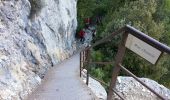 Trail Walking Rougon - Sentier Martel.Gorges du Verdon.06 05 16 - Photo 13