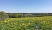 Tocht Stappen Gedinne - Marche Adeps à Rienne - Gedinne - Photo 6