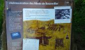 Excursión Senderismo Bouxwiller - sentier geologique du Batsberg - Photo 9
