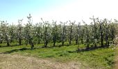 Randonnée Marche Herstal - Milmort et les arbres fruitiers a Tilice - Photo 9