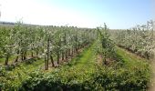 Randonnée Marche Herstal - Milmort et les arbres fruitiers a Tilice - Photo 3