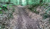 Tour Wandern Yvoir - Yvoir Tricointe Mont projet pour malvoyants terrain - Photo 3