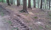 Trail Walking Yvoir - Yvoir Tricointe projet pour malvoyants terrain - Photo 4