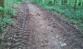 Trail Walking Yvoir - Yvoir Tricointe projet pour malvoyants terrain - Photo 2