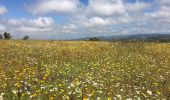 Trail Walking Cumbres Mayores - From Cumbres Mayores to the valley - Photo 1