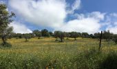 Trail Walking Cumbres Mayores - From Cumbres Mayores to the valley - Photo 13