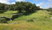 Tour Wandern Cumbres Mayores - From Cumbres Mayores to the valley - Photo 11