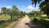 Percorso Marcia Cumbres Mayores - From Cumbres Mayores to the valley - Photo 10