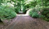 Trail Walking Habscht - HOBSCHEID (Eisch) - Photo 3