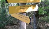 Trail Walking Orpierre - rocher st Michel - Photo 6