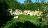 Tocht Stappen Gennes-Val-de-Loire - Le chemin  des  vieilles  pierres  saint  georges  des  7  voies   - Photo 7