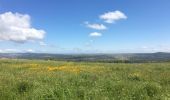 Tour Wandern Cumbres Mayores - Round trip around Cumbres Mayores  - Photo 12