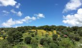 Tour Wandern Cumbres Mayores - Round trip around Cumbres Mayores  - Photo 7