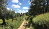 Tour Wandern Cumbres Mayores - Round trip around Cumbres Mayores  - Photo 1