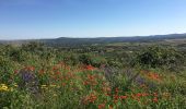 Trail Walking Cumbres Mayores - Cumbres Mayores - Photo 13