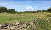 Tocht Stappen Cumbres Mayores - Cumbres Mayores - Photo 9