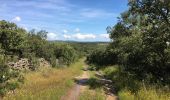 Tour Wandern Cumbres Mayores - Cumbres Mayores - Photo 6