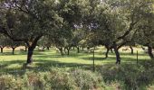 Tocht Stappen Cumbres Mayores - Cumbres Mayores - Photo 1