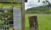 Trail Walking Rochefort - Entre Wamme et l'Homme - Photo 3