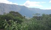 Excursión Senderismo La Possession - La Réunion - Marla - retour par le col des boeufs - Photo 9