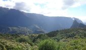 Excursión Senderismo La Possession - La Réunion - Marla - retour par le col des boeufs - Photo 7