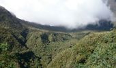Excursión Senderismo La Possession - La Réunion - Marla - retour par le col des boeufs - Photo 6