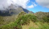 Randonnée Marche La Possession - La Réunion - Marla - retour par le col des boeufs - Photo 5