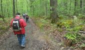 Trail Walking Chevreuse - rando du 12/05/2016 - Photo 8