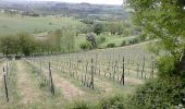 Randonnée Marche Aubel - Val dieu Dalhem par aubin - Photo 6