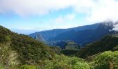 Tocht Stappen La Possession - La Réunion - Boucle Mafate par le Col des boeufs - Photo 10
