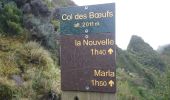 Randonnée Marche La Possession - La Réunion - Boucle Mafate par le Col des boeufs - Photo 7