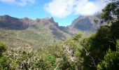 Randonnée Marche La Possession - La Réunion - Boucle Mafate par le Col des boeufs - Photo 4
