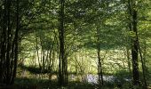 Tocht Stappen Florenville - Orval - Natura 2000, des sites qui valent le détour - Lx24 - Photo 8