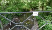 Trail Walking Rochefort - ROCHEFORT (Falizes) - Photo 6