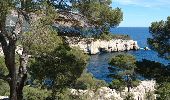 Randonnée Marche Cassis - les calanques de Cassis - Photo 1