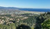 Excursión Otra actividad Carqueiranne - Paradis Mont des Oiseaux  - Photo 2